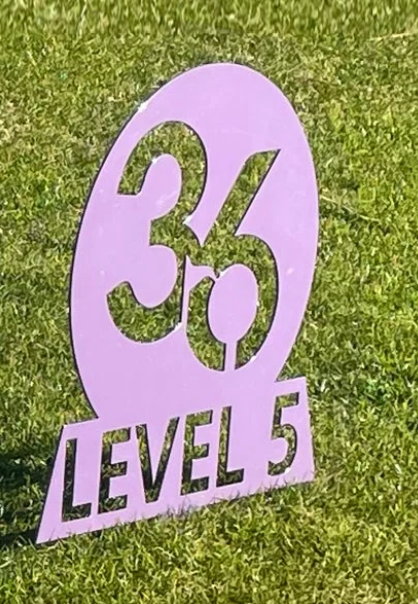 Individual Metal Tee Markers