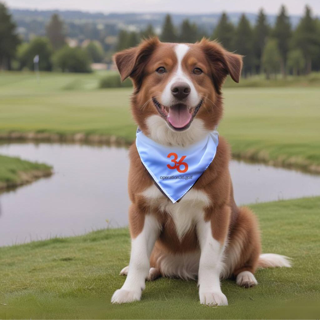 Pet Bandana