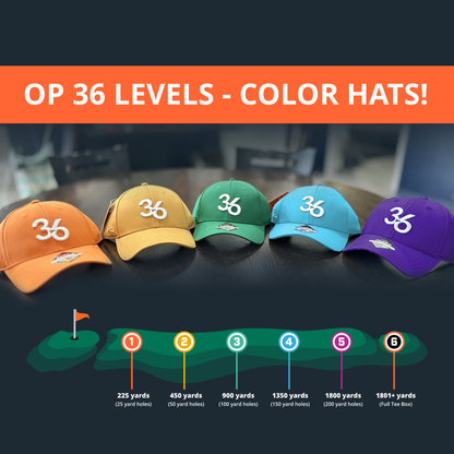 Op 36 Levels | Color Hats
